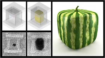 The concept of casting nanoparticles inside DNA molds is very much alike the Japanese method of growing watermelons inside cube-shaped glass boxes. Credit: Harvard's Wyss Institute / Peng Yin