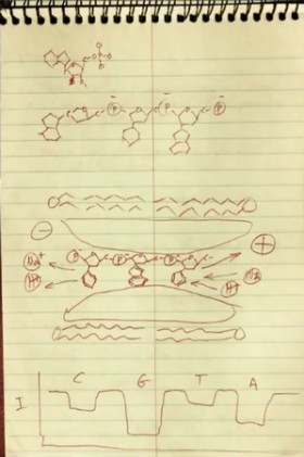 Náčrtek Davida Deamera, který si udělal na kus papíru v roce 1989 zobrazující technologii „nanopore sekvenování“. Kredit: David Deamer