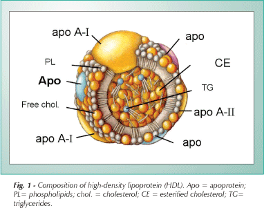 Factor for , to increase your